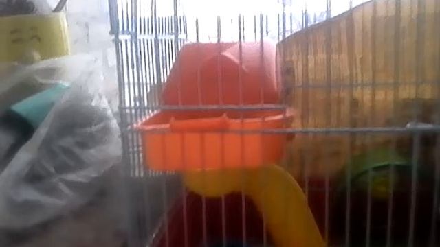 Новогодняя сказка/2серия смотреть онлайн