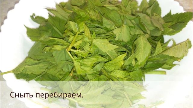 СУП С КЛЕЦКАМИ! Самый ВКУСНЫЙ ЗЕЛЕНЫЙ СУП из сныти!