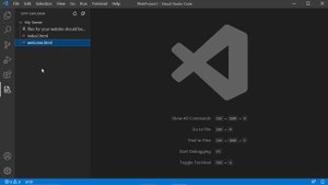 Connect to FTP/SFTP Server using Visual Studio Code and SFTP Extention