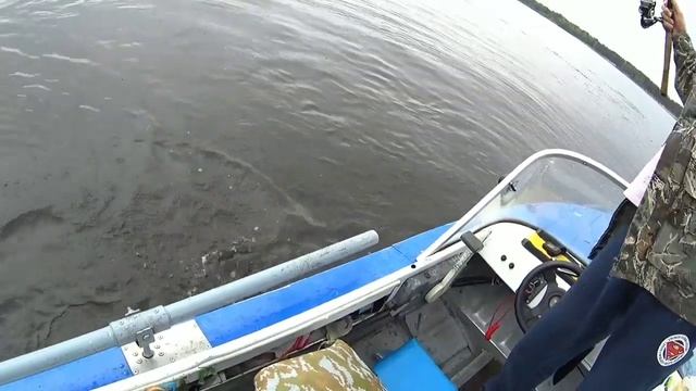 Куйбышевское водохранилище,ловля хищника.