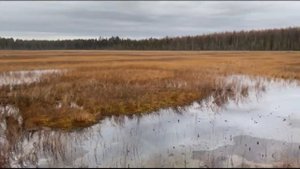 Самолет Douglas DC-3 (ЛИ-3) ПОДЪЕМ ИЗ БОЛОТА