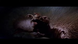 питомец джаббы