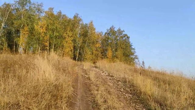 Грунтовая дорога через лощину