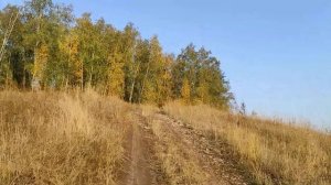 Грунтовая дорога через лощину