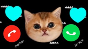 ? APPLE ? RINGTONE IPHONE PRO #ringtone #cat #cats #iphone NJ EP.5