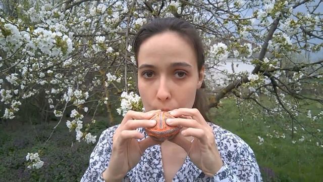 ocarina смотреть онлайн