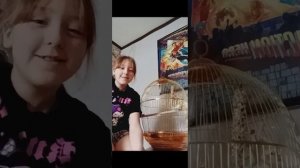 Как приучить гладить попугая за 6 минут? Ответ тут!