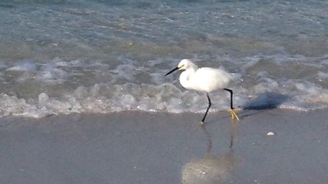 Медитация-визуализация. Физика радости смотреть онлайн