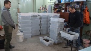 Бизнес на червях благодаря кроликам/Технология производства в буртах и ящиках