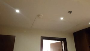 Где остановиться около аэропорта Шереметьево? Отель Шератон Москва Шереметьево Аэропорт 5*