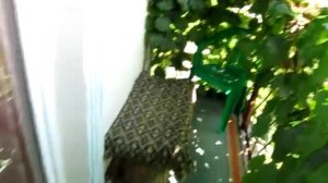 Мамедова щель Лазаревский район г.Сочи