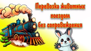 Перевозка животных без сопровождения поездом