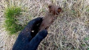 Garrett Ace 150. Первый коп и настройка чуйки на чермет