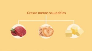 Alimentación saludable para niños - Hidratos de carbono, grasas, proteínas, vitaminas...