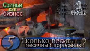 ЧТО ЛУЧШЕ - ШАУМАН ИЛИ МЕГАМИКС?