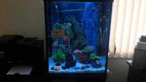 Аквариум 150 л цихлидник