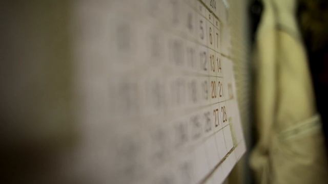 Sigma AF 28mm f1/8 EX DG ASPHERICAL MACRO Video Test Canon EOS 6D смотреть онлайн