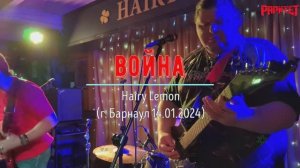 Раритет - Война (Hairy Lemon 14.01.2024)