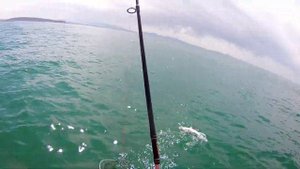 Ловля камбалы тавайза  большой камень приморский край 2019