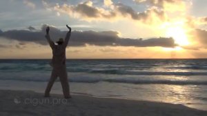 Tai Chi Qigong performs VjSav