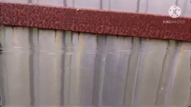 УВИДЕЛИ СИРЕНОГОЛОВОГО😱 СИРЕНОГОЛОВЫЙ СУЩЕСТВУЕТ!