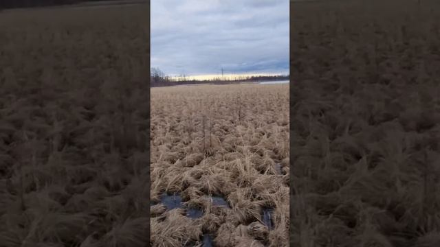 Полное видео смотрите уже  на нашем канале #охота #рыбалка #вездеходы #Якутия