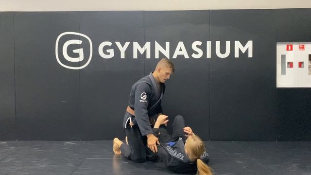 Основные позиции в бразильском джиу-джитсу смотреть онлайн