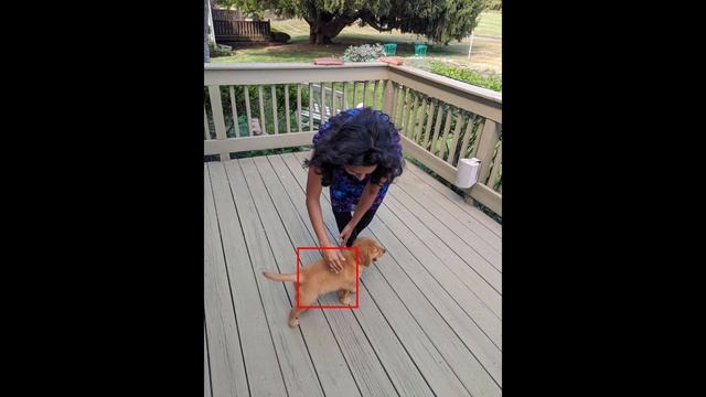 Sliding Window Object Detection | Deep Learning Tutorial 30 (Tensorflow, Keras & Python)