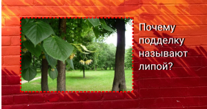 Почему подделку называют липой?
Почему подделку называют липой.mp4