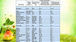 Сколько семян в 1 грамме? Сад и огород с HitsadTV