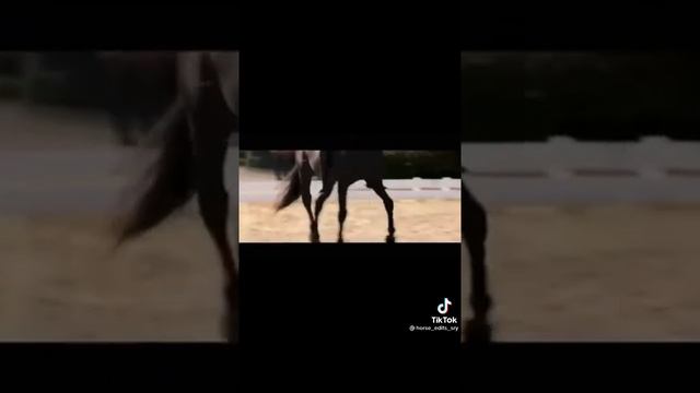 OSTWIND/WINDSTORM ♥️ смотреть онлайн