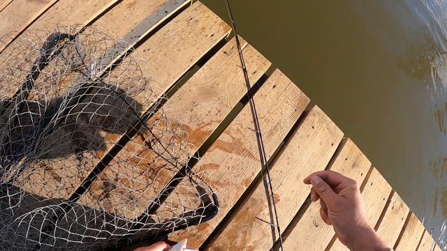 форелевая рыбалка на платникие. фора села на долгой остановке. смотреть онлайн