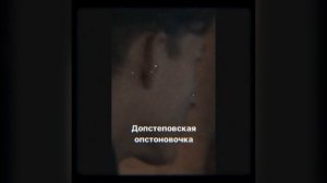 КТО ТАКОЙ TINI LIN И КАК ОН ПОГИБ? ПОСЛЕДНИЙ ТАНЕЦ, ПОСМЕРТНЫЙ АЛЬБОМ И ТВОРЧЕСКИЙ ПУТЬ