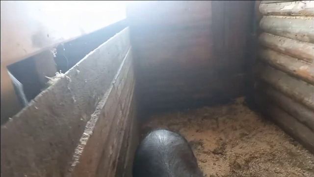 Крутой мотоблок смотреть онлайн