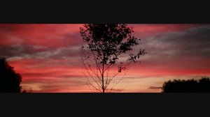 III этнофестиваль ДРЕВО ЖИЗНИ, 20-24 июня, Омск.