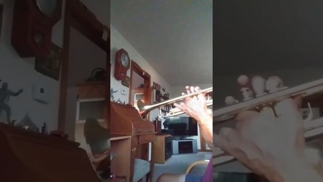 Beethoven "Virus" trumpet смотреть онлайн