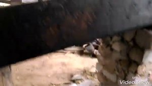 Снятие коробки Ваз 2112 (2110) своими руками 1 часть.