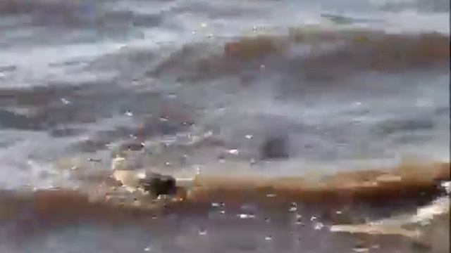 Ловля Фидером Карпа №09 О Рыбалке Всерьез слова эксперта рус яз смотреть онлайн