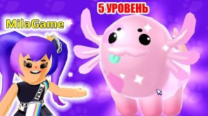 PK XD КОГДА ВЕЧЕРИНКА АКСОЛОТЛЬ 5 УРОВЕНЬ !!!