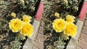 Honor Magic 5 Pro VS iPhone 14 Pro Camera Comparison