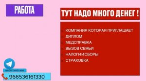 Визы в Саудовскую  Аравию. Как быстро приехать в Мекку и Медину