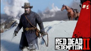 Red Dead Redemption 2 / # 1