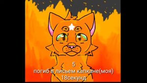 _КОТЫ ВОИТЕЛИ_ MAP/OPEN
