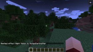 Minecraft Java - Night Vision Command for Java Edition