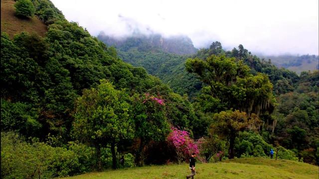 Echeveria Expedición Biocultural смотреть онлайн