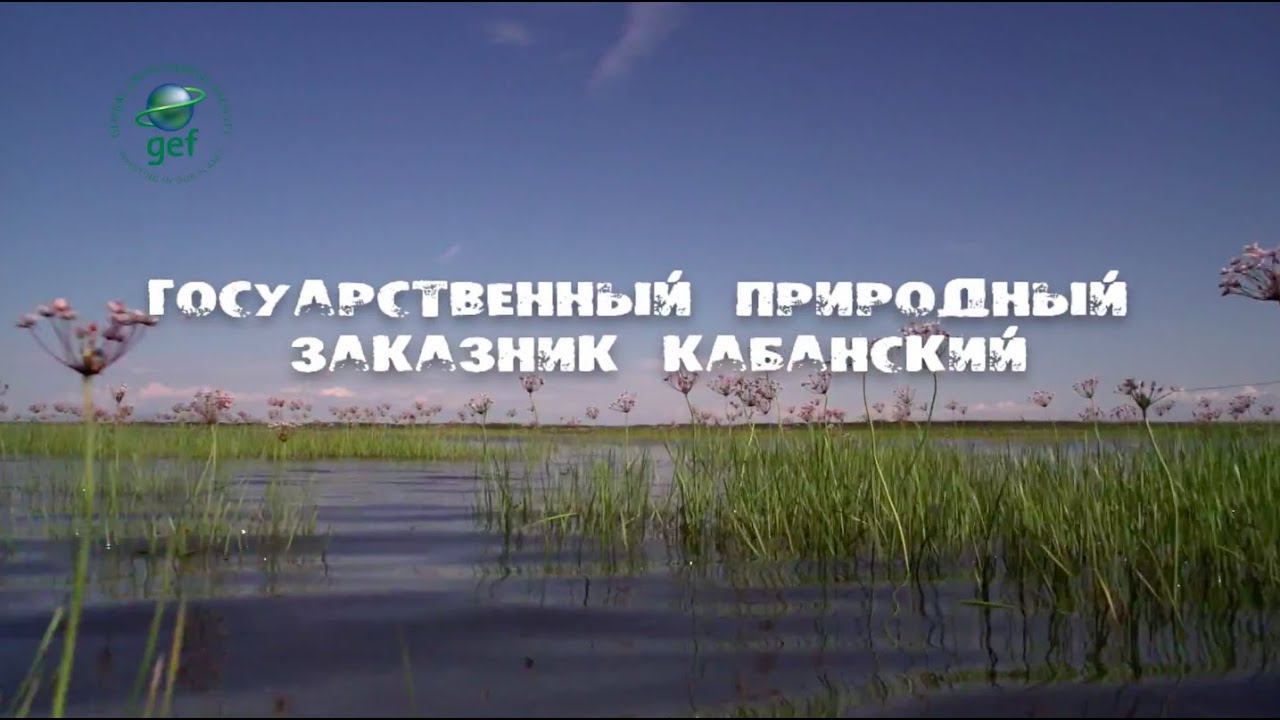 «Заповедное ожерелье Байкала». Кабанский государственный природный заказник