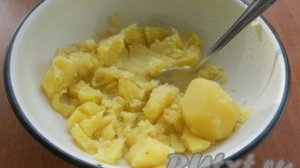 Рецепт капустняка со свежей капустой