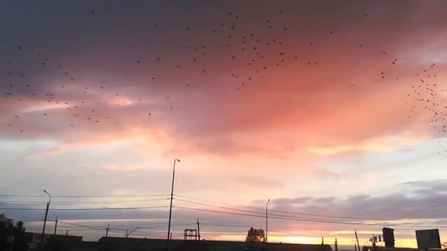 ВОРОНЬЁ! смотреть онлайн