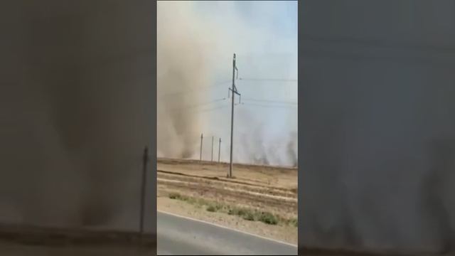 В Башкирии по пастбищу прошелся огненный смерч.