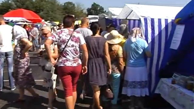 Тысячи курян приобрели мед на ярмарке смотреть онлайн